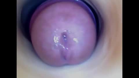 Snapshot of paulainoscente chatting on October 14, 6:20 pm Paula 18 Aninhos online show from October 14, 6:20 pm