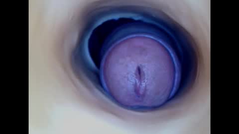 Snapshot of paulainoscente chatting on October 16, 5:52 am Paula 18 Aninhos online show from October 16, 5:52 am