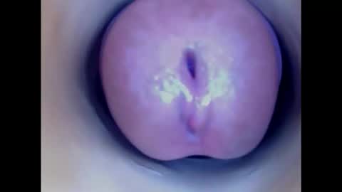 Snapshot of paulainoscente chatting on October 19, 6:19 pm Paula 18 Aninhos online show from October 19, 6:19 pm