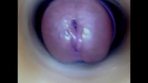 Snapshot of paulainoscente chatting on October 21, 11:38 pm Paula 18 Aninhos online show from October 21, 11:38 pm