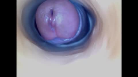 Snapshot of paulainoscente chatting on October 26, 9:21 pm Paula 18 Aninhos online show from October 26, 9:21 pm