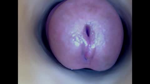 Snapshot of paulainoscente chatting on October 31, 10:22 pm Paula 18 Aninhos online show from October 31, 10:22 pm