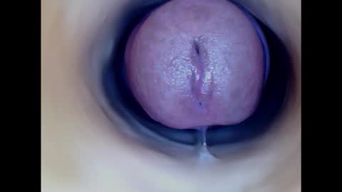 Snapshot of paulainoscente chatting on November 5, 11:16 pm Paula 18 Aninhos online show from November 5, 11:16 pm