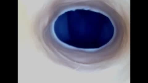 Snapshot of paulainoscente chatting on November 17, 5:24 am Paula 18 Aninhos online show from November 17, 5:24 am