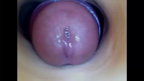 Snapshot of paulainoscente chatting on November 18, 5:34 am Paula 18 Aninhos online show from November 18, 5:34 am