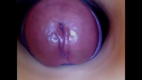 Snapshot of paulainoscente chatting on November 20, 7:30 am Paula 18 Aninhos online show from November 20, 7:30 am