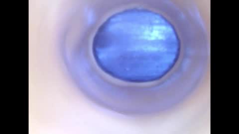 Snapshot of paulainoscente chatting on December 2, 2:28 am Paula 18 Aninhos online show from December 2, 2:28 am