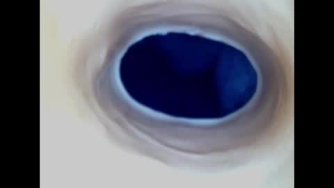 Paula 18 Aninhos online show from December 23, 1:03 am