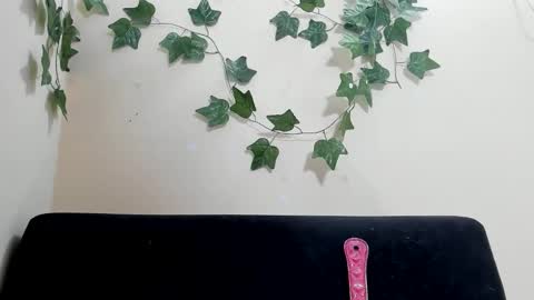 Snapshot of paulinches_love chatting on February 9, 8:24 pm Paulinches online show from February 9, 8:24 pm