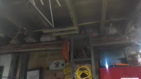 paulstetson online show from December 20, 10:43 pm