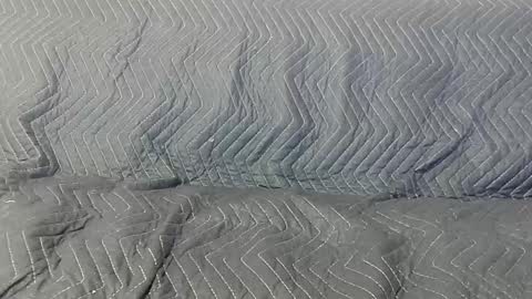 paupam online show from January 26, 7:31 pm