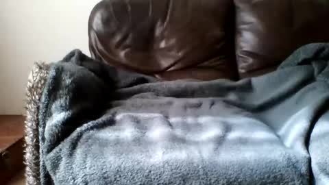 paurlien online show from March 21, 11:04 am