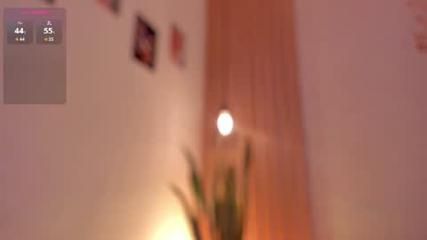 Dani online show from June 19, 1:48 pm