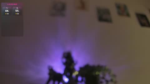 Dani online show from July 31, 12:15 pm