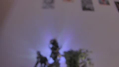 Dani online show from August 2, 2:37 pm
