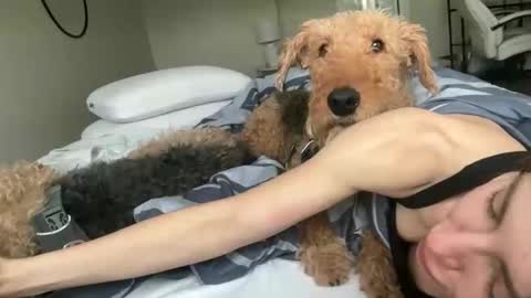 Effyyyyy online show from November 27, 5:04 pm