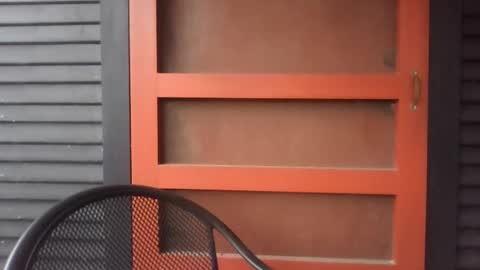 pecos8686 online show from November 29, 2:42 pm