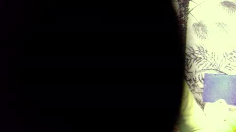 PedrOO OO online show from December 3, 8:49 am