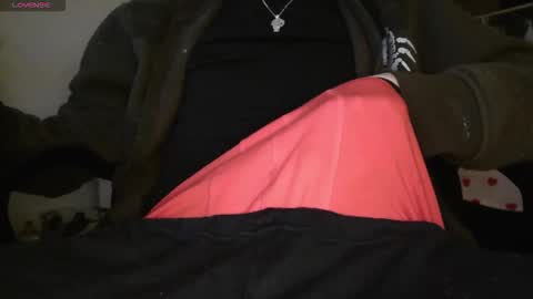 peregrintpelfox online show from February 14, 10:34 am