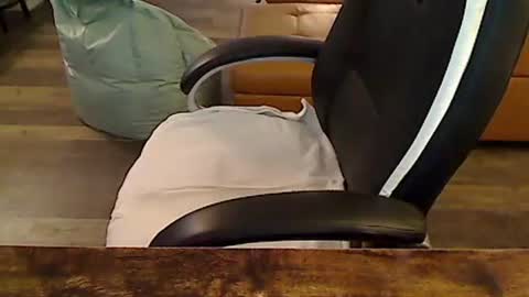 perfecto1957 online show from November 6, 3:46 pm