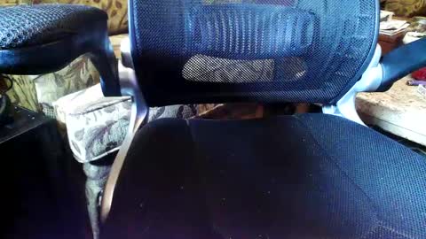 perfecto337 online show from September 11, 9:04 pm