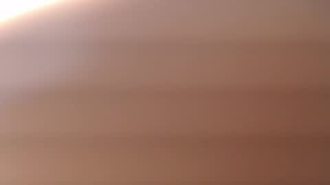 lecia online show from November 4, 4:11 am