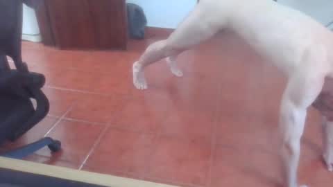 peter_coat online show from July 1, 12:40 pm