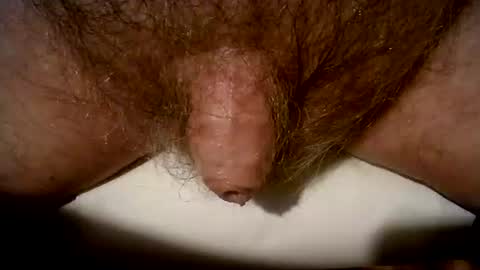 Snapshot of peterpeteropoulos chatting on March 8, 9:08 pm peterpeteropoulos online show from March 8, 9:08 pm