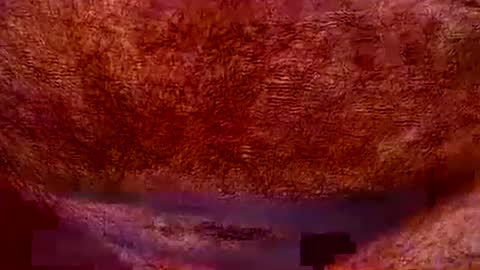 peterpeteropoulos online show from July 20, 7:05 pm