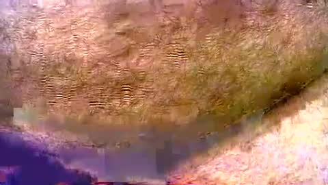 peterpeteropoulos online show from August 3, 7:06 pm