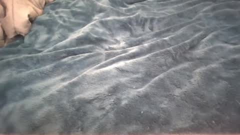 Little cupcake online show from February 26, 2:59 am