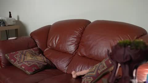 Snapshot of petitecut chatting on March 11, 5:27 am caracal online show from March 11, 5:27 am