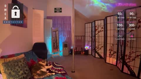 Jules online show from December 27, 9:17 am