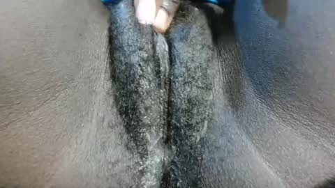 Snapshot of petiteme1 chatting on January 21, 8:21 pm petiteme1 online show from January 21, 8:21 pm