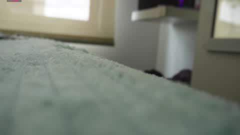 Snapshot of pettercat chatting on January 5, 6:24 pm Pettercat online show from January 5, 6:24 pm