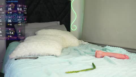 Snapshot of pettercat chatting on January 9, 4:30 am Pettercat online show from January 9, 4:30 am