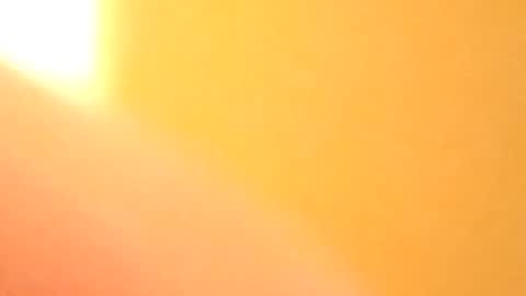 Snapshot of petw45 chatting on February 25, 2:21 am petw45 online show from February 25, 2:21 am