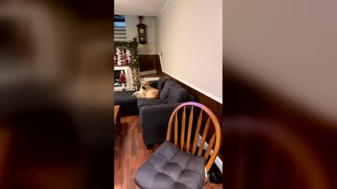 Snapshot of phatassblond chatting on December 15, 3:05 pm PhatAssBlond online show from December 15, 3:05 pm