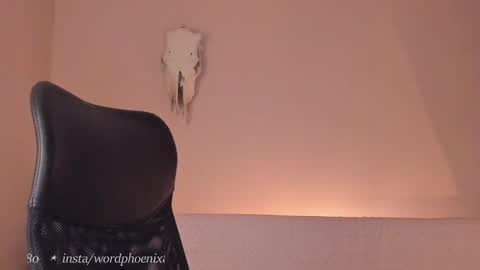 phoenixx_x online show from December 28, 10:02 pm