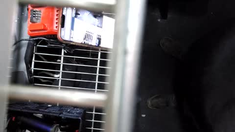 pickleback69 online show from September 21, 7:43 am