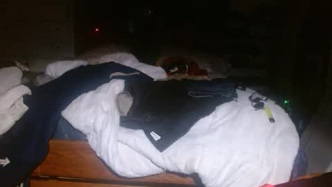 Snapshot of picklerick650 chatting on November 2, 2:25 am picklerick650 online show from November 2, 2:25 am