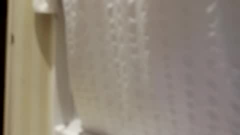 pigbear4trans online show from September 30, 6:51 am