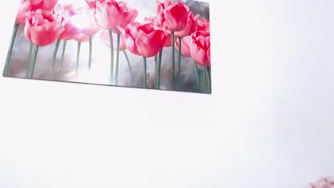 pinky_f00x online show from April 11, 8:02 pm