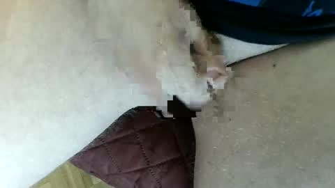 Snapshot of pippo2704 chatting on January 26, 3:47 pm pippo online show from January 26, 3:47 pm