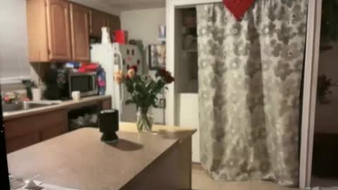 pirdybirdyxo online show from January 30, 4:06 am