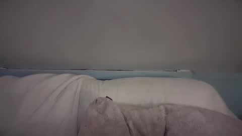 pirdybirdyxo online show from February 26, 3:42 am