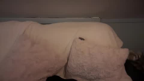 pirdybirdyxo online show from March 2, 6:37 am