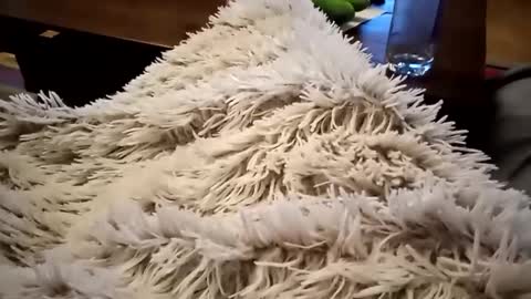 Snapshot of pitoenmano_ chatting on February 9, 6:33 am Antn online show from February 9, 6:33 am