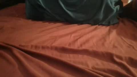 Plague Cockter online show from February 24, 5:49 am