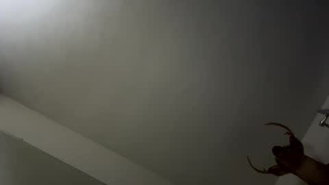 Snapshot of playerpleasure chatting on November 9, 3:49 am playerpleasure online show from November 9, 3:49 am